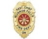 Badge (Coat) - Asst. Chief